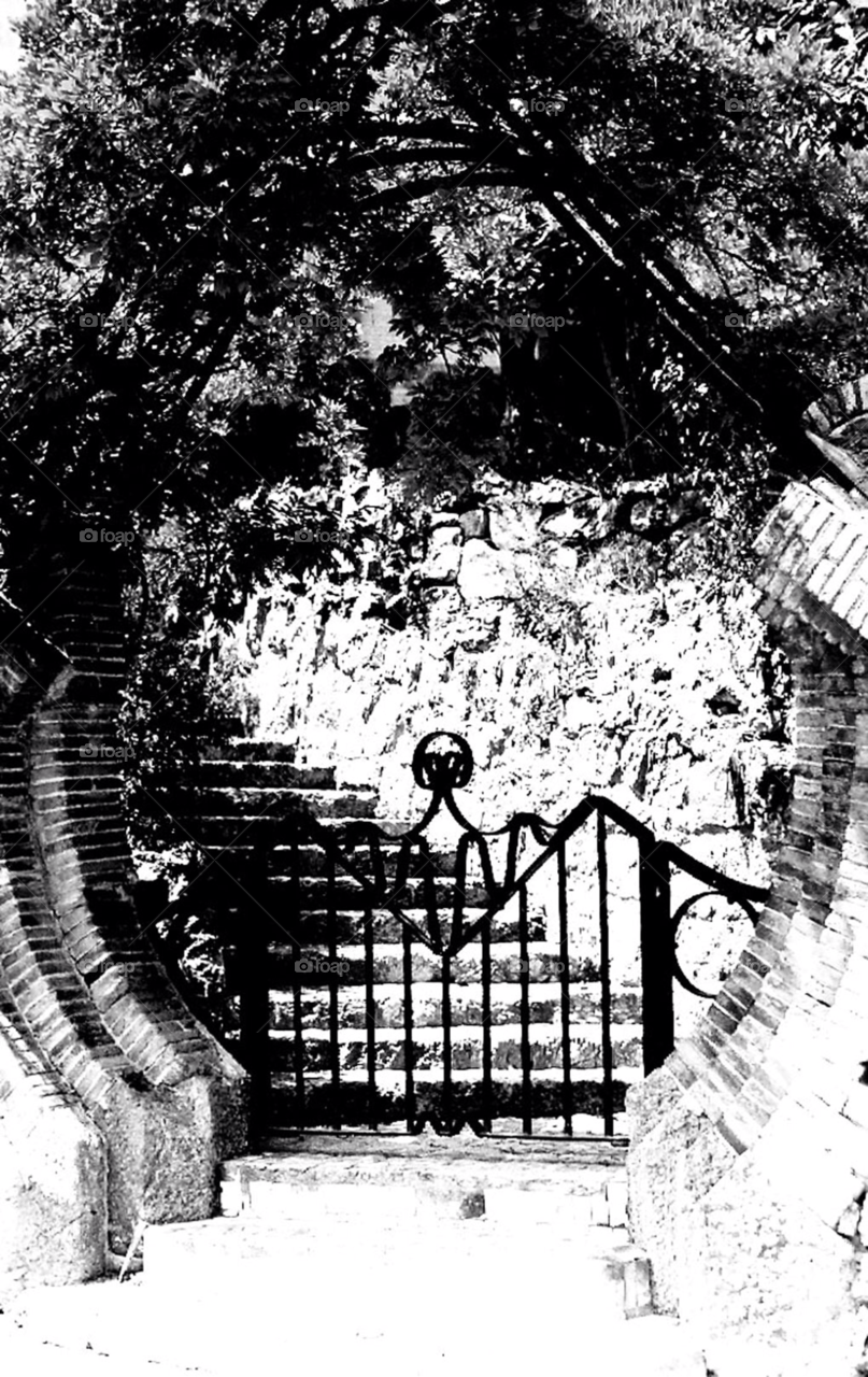 white black trees barcelona by squishypie