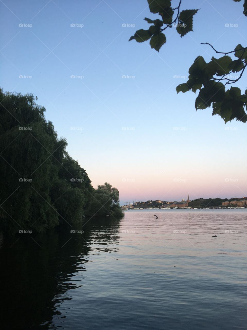 Summer lake evening 
