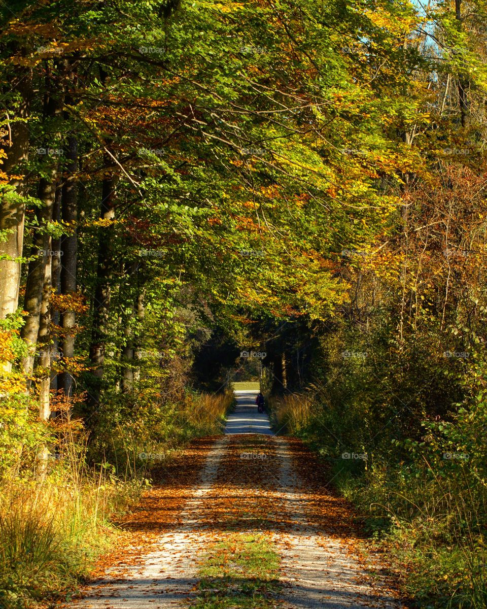 Herbstfarben