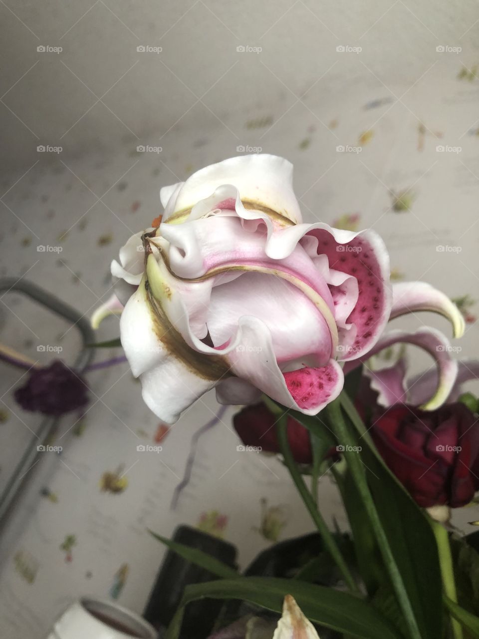 Bloom in your own time