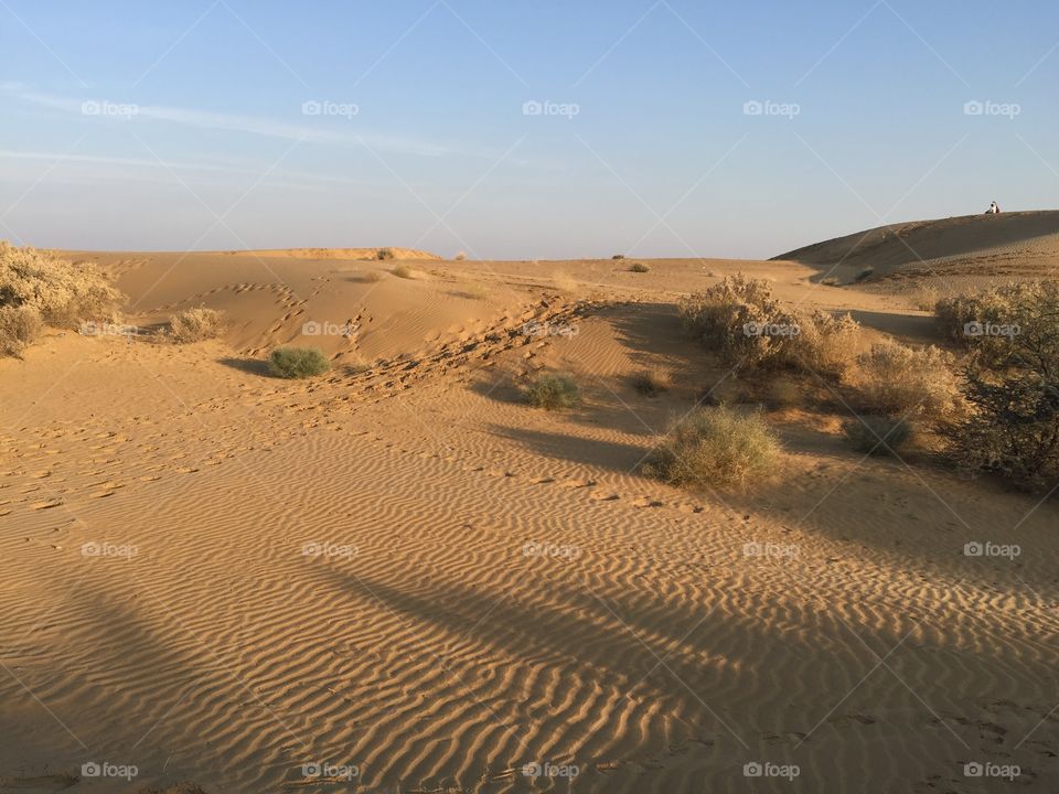 Desert 
