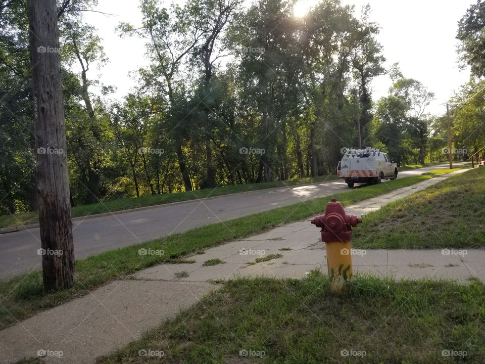 Road, Tree, Landscape, Environment, Guidance