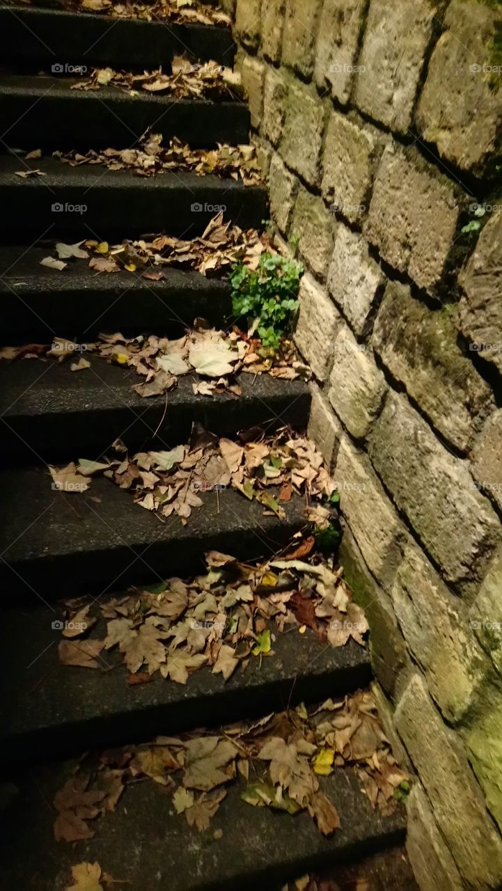 Fall steps