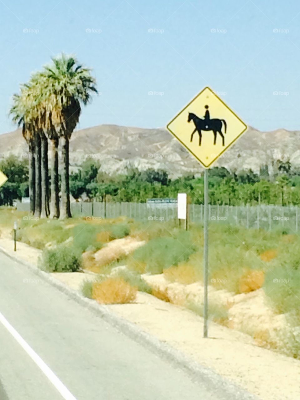 Horse crossing