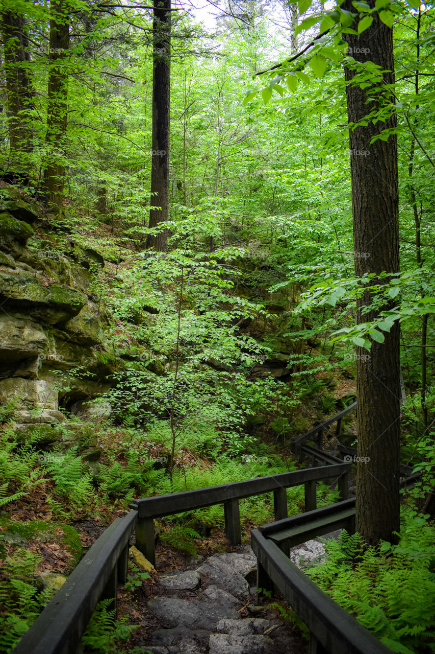 Could there be a more heavenly staircase?