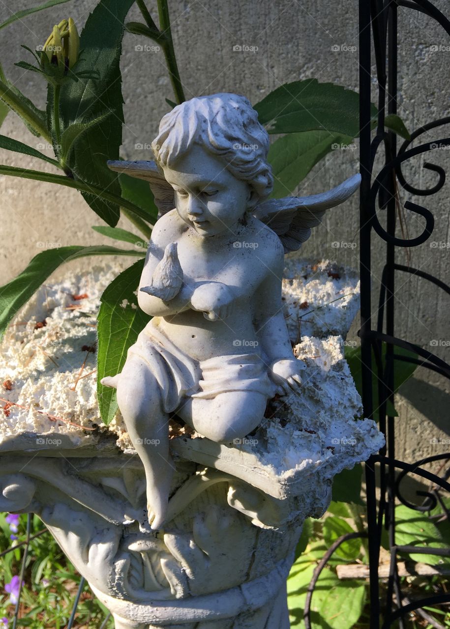 Angel sitting on big base. Wrought iron stand & flowers growing. Sun creating pretty shadows👼🏻