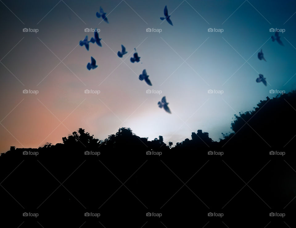 birds fly in the sky attracting evening view, blue and red sky