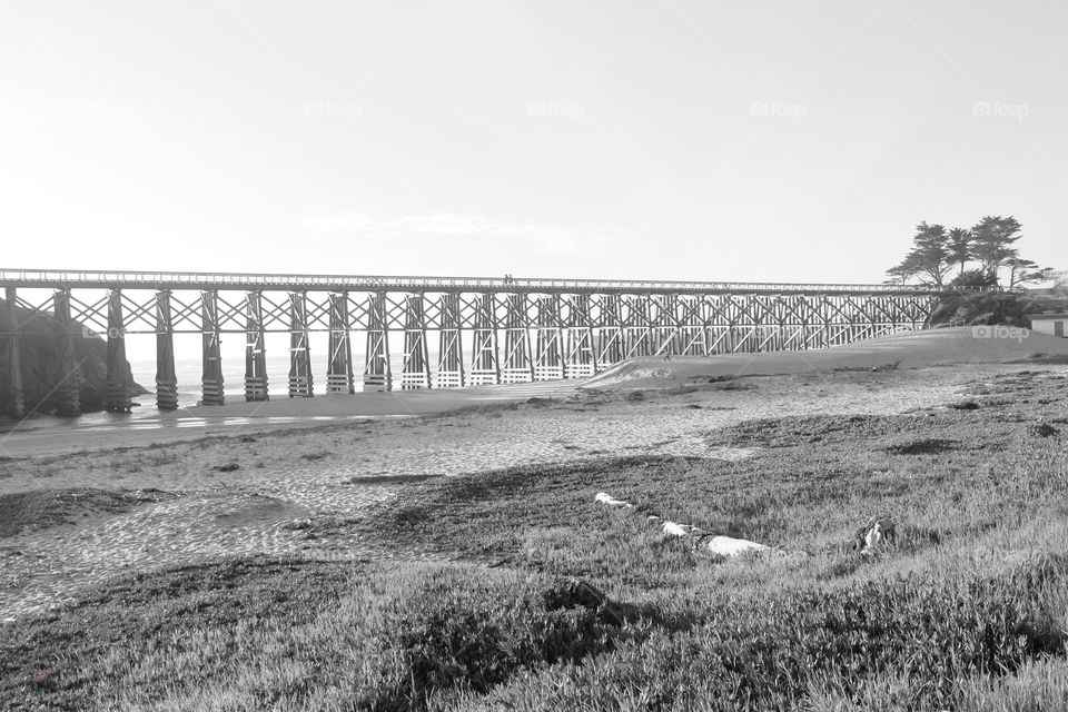 Bridge on the beach