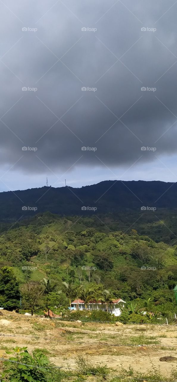 Casa escondida en el bosque, vegetación y bien clima para los días de descanso.