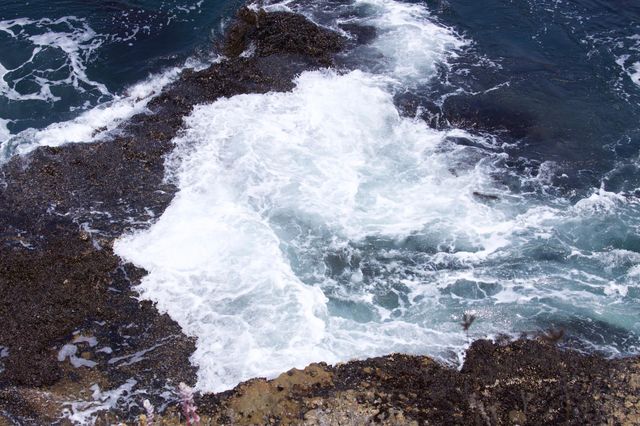 Pacific Waves