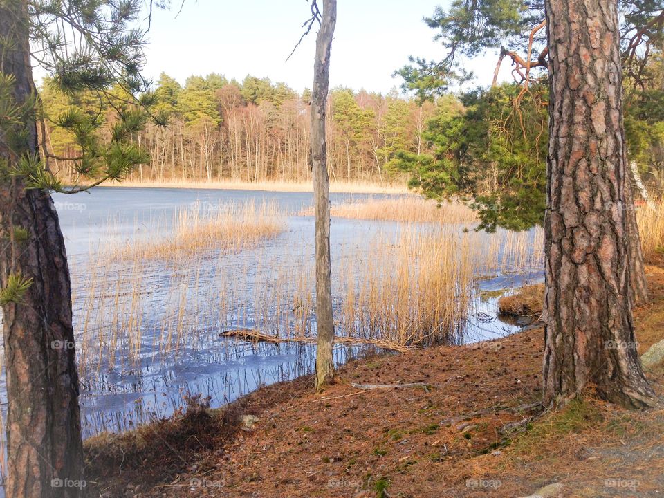 afternoon lake walk sweden