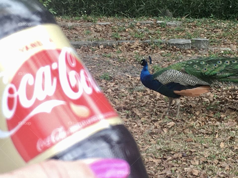 Coca-Cola photography mission 