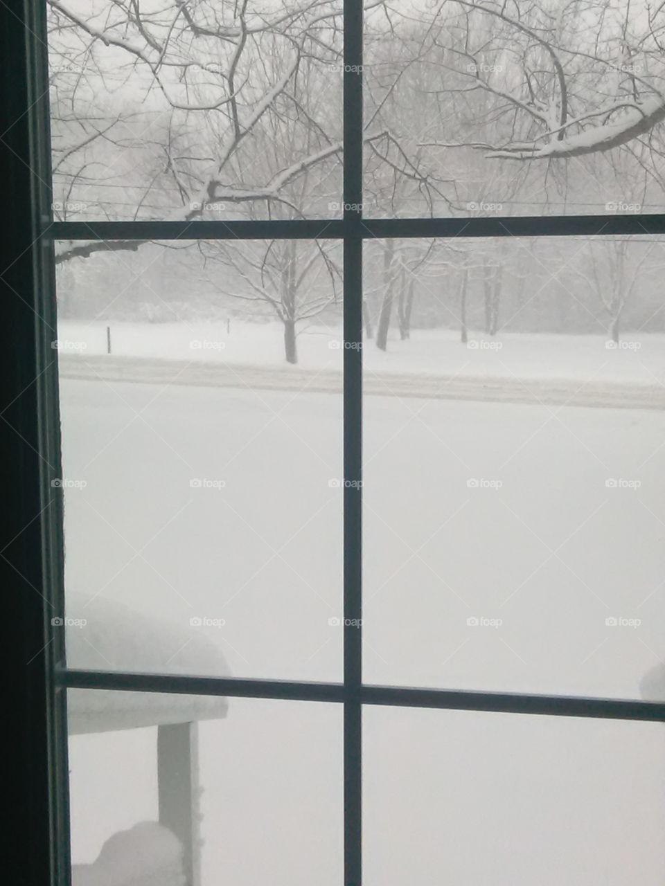 Winter's window