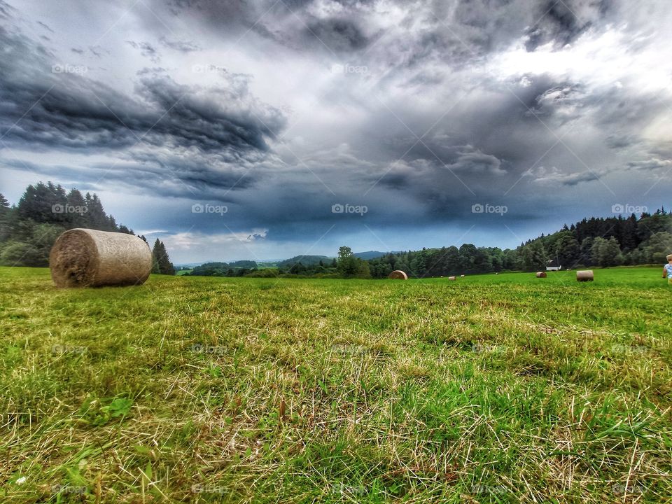 meadow, sky, clouds, nature, buatifull