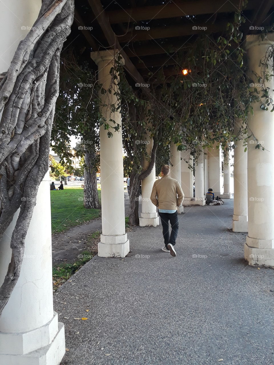 Lake Merritt Oakland