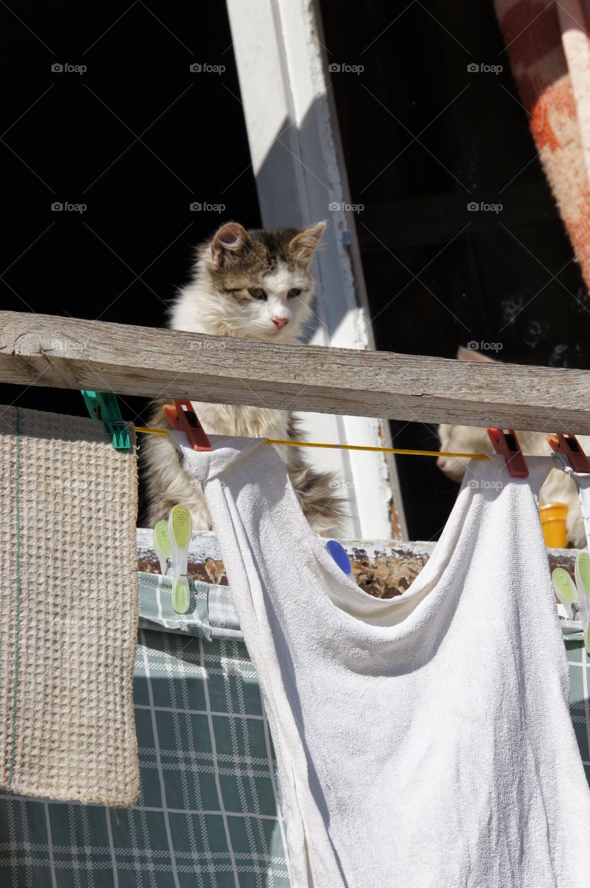 Guarding the laundry