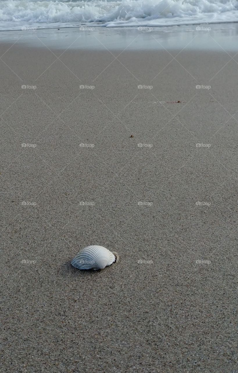 musch3 Sand Strand wasser meer