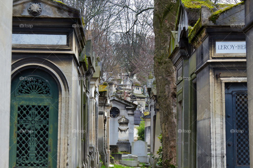 graveyard in the cemetery in paris