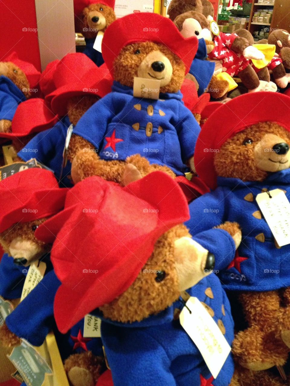 Paddington Bear