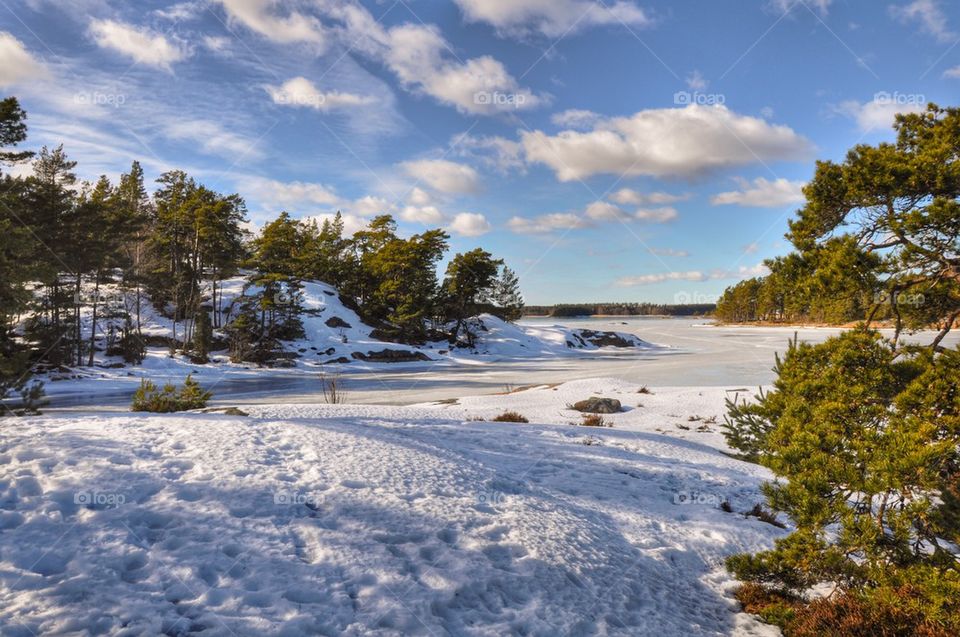 View of tress in snow landscape