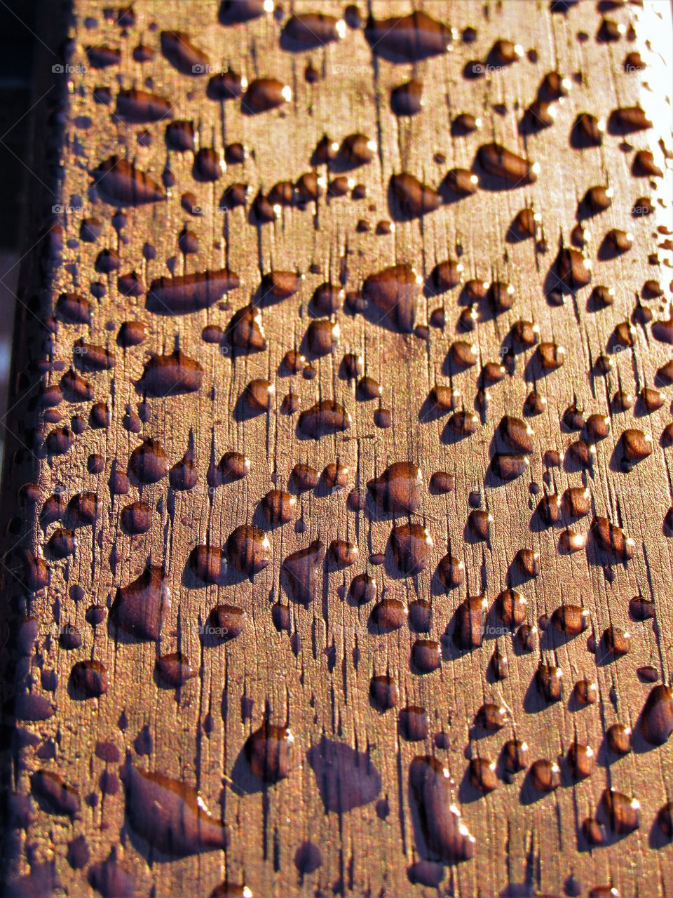 Droplets on a bench