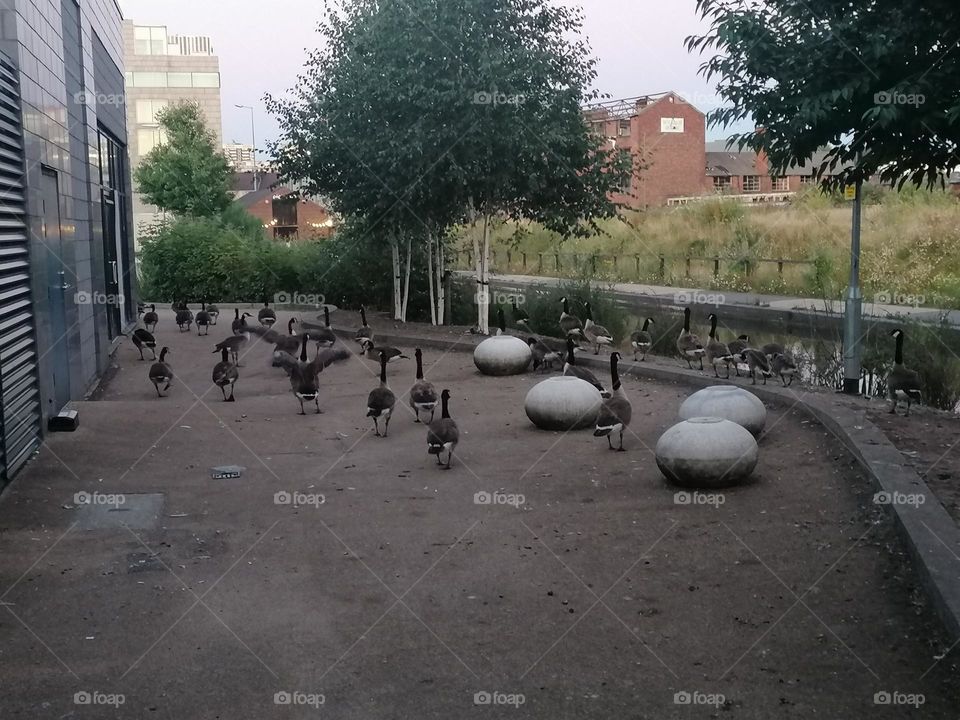 A view of nature and outdoors in the UK
