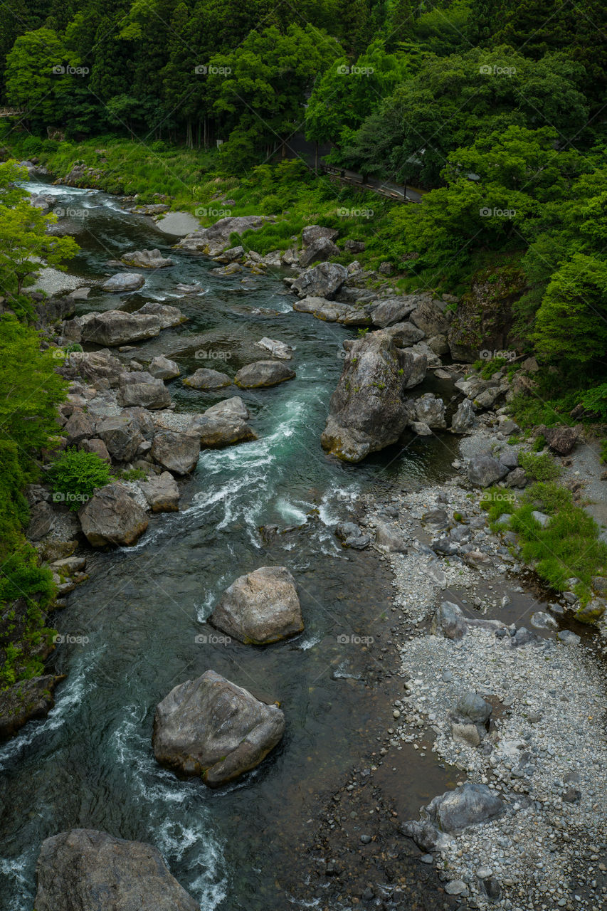 Holiday  mitake japan