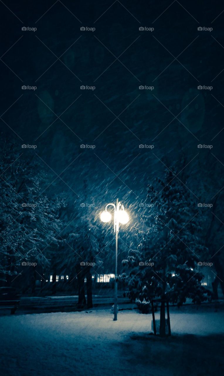 Snowy night in the light of the lamps