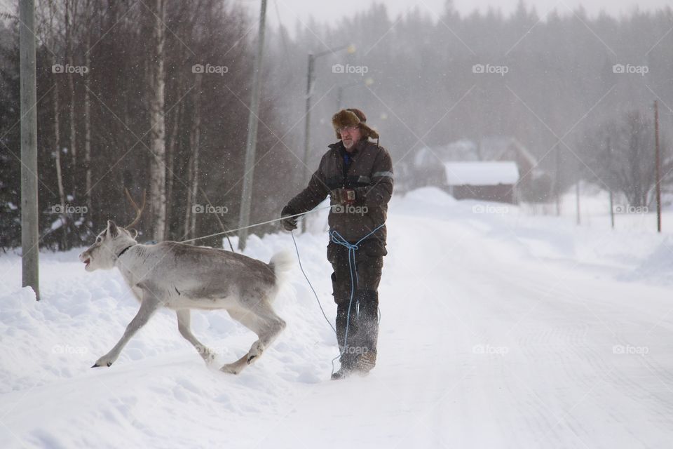 old man with reindeer