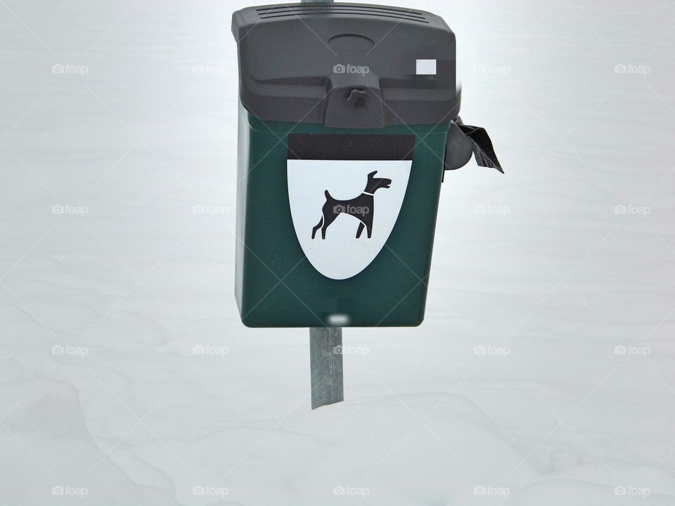saddle bag dog for public plance in village
