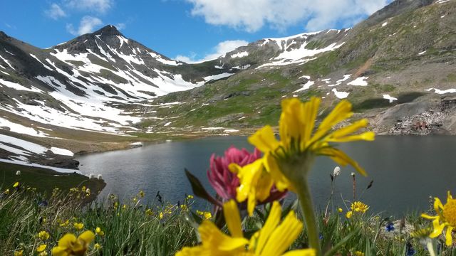 mountain meadows