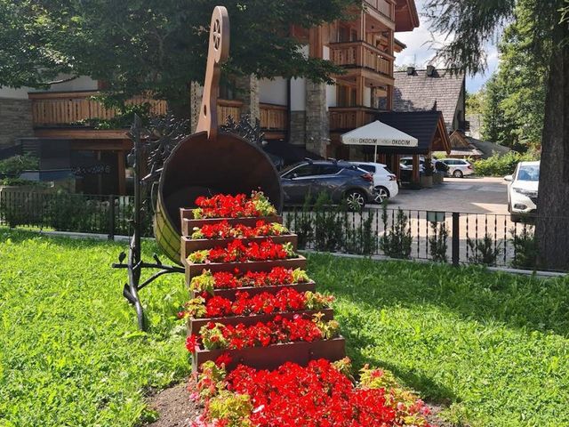 Landscape of flowers
