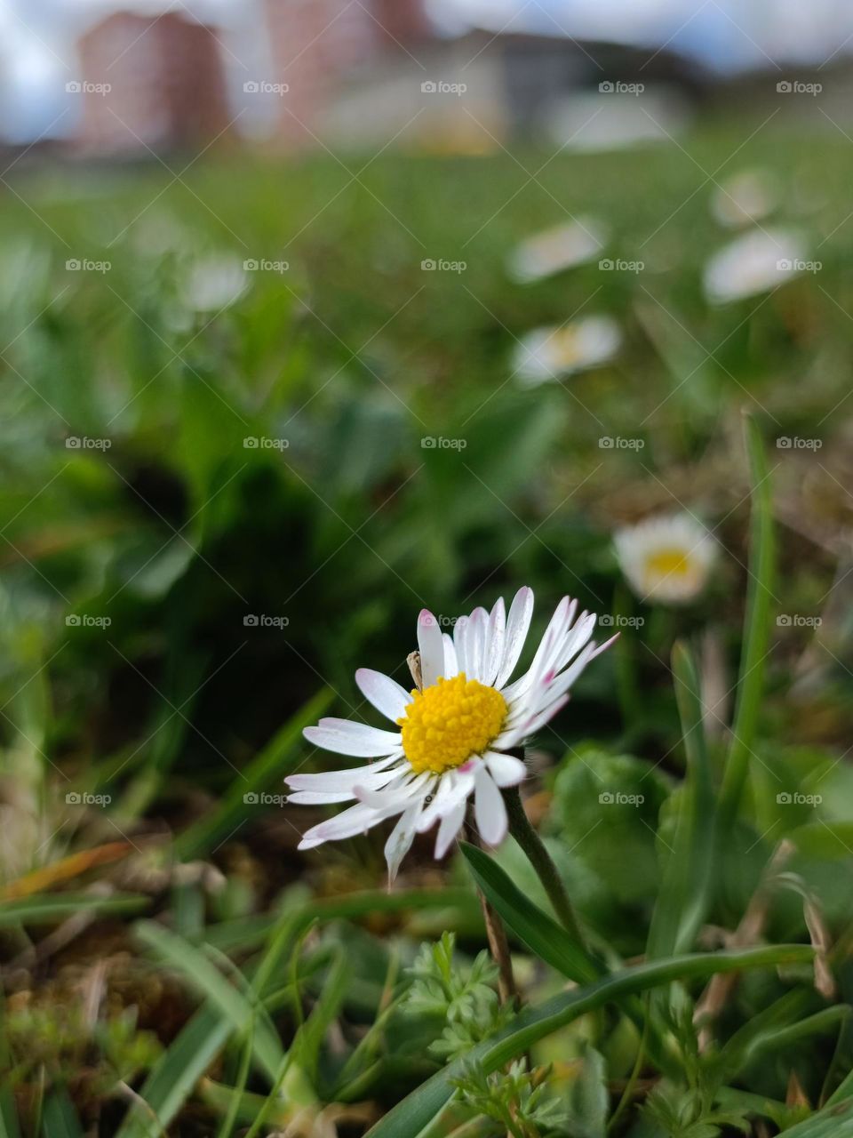 Cuando llega la primavera