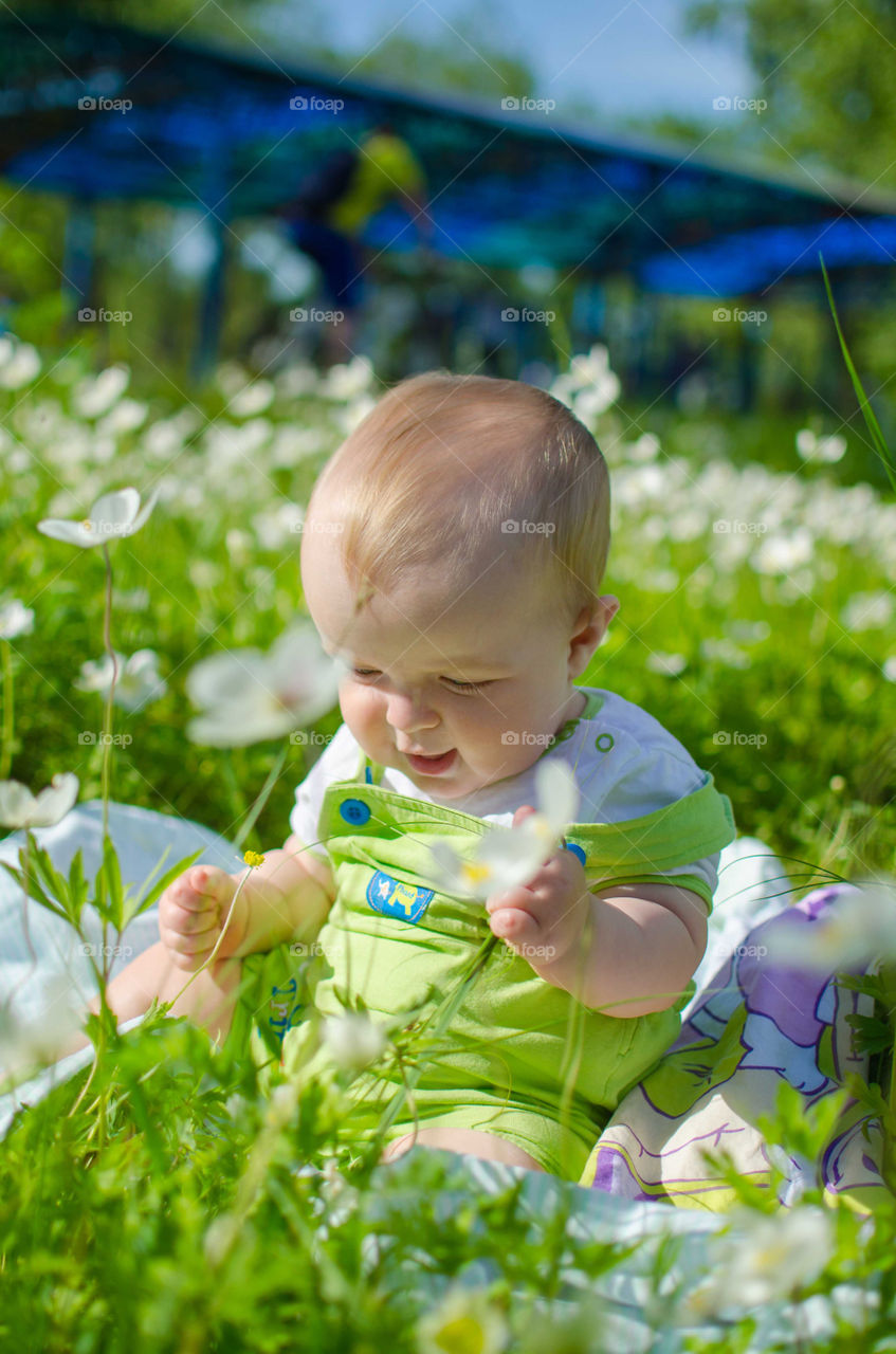 Little toddler sitting on flower field