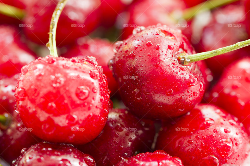 Close up of fresh cherry berries with water drops.Antioxidant, vitamin, organic berry