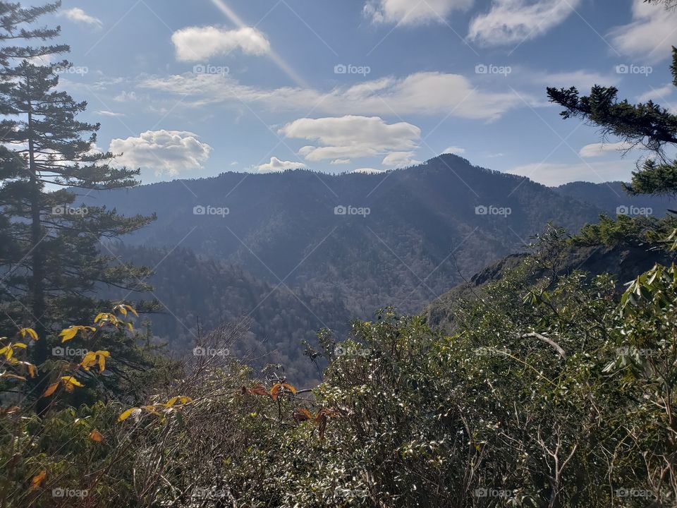 Smoky Mountain Hiking