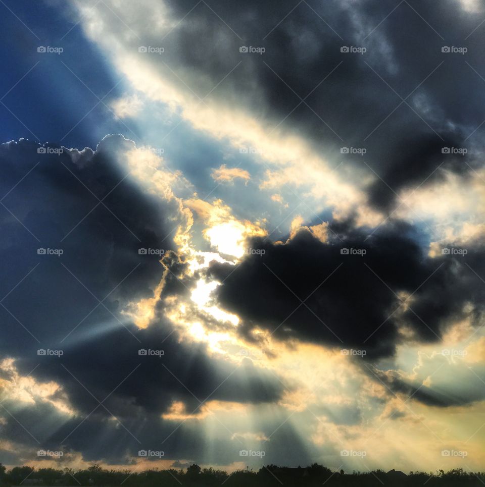 Just Texas in the Sun 