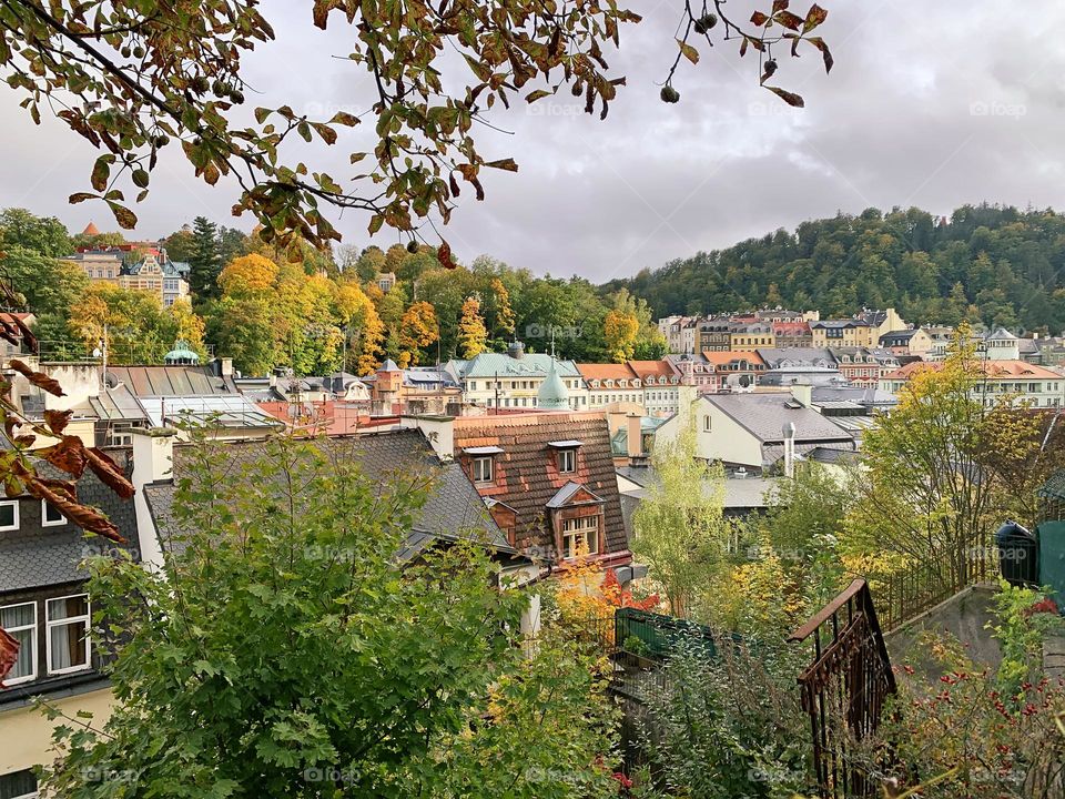 Autumn nature in the city 