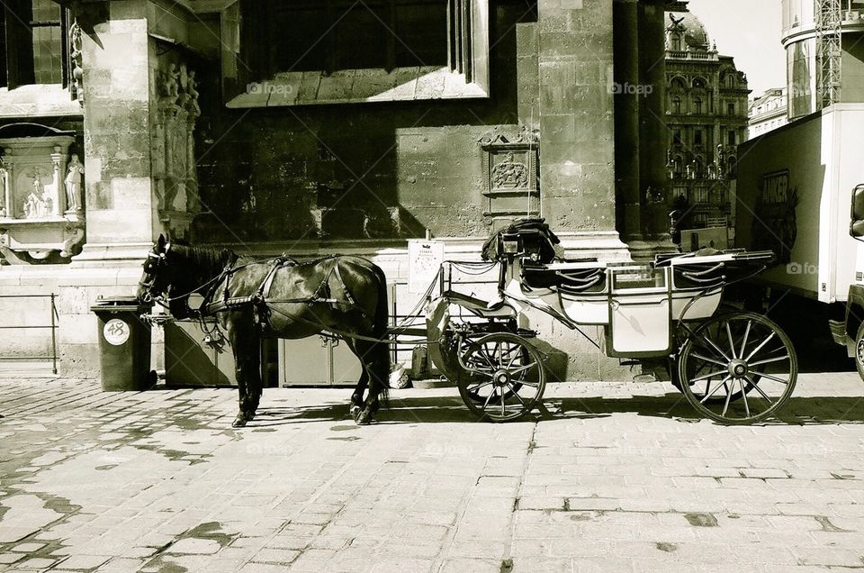 Carriage in waiting