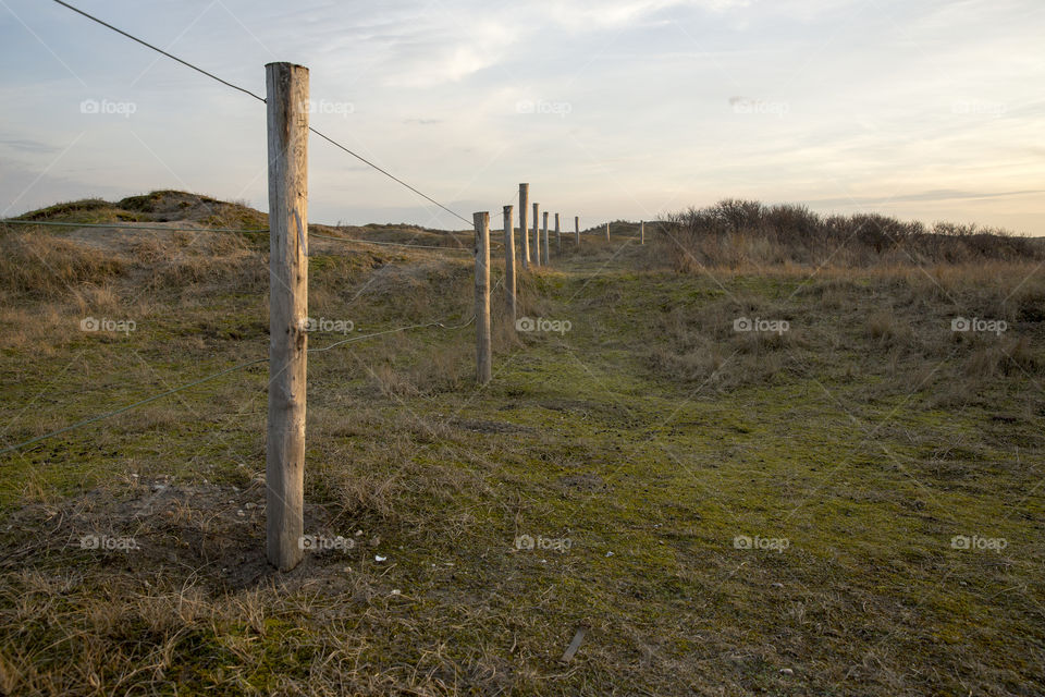 Fence