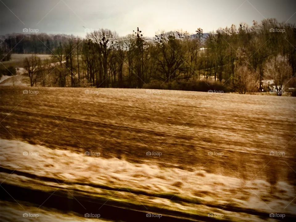 on the way home