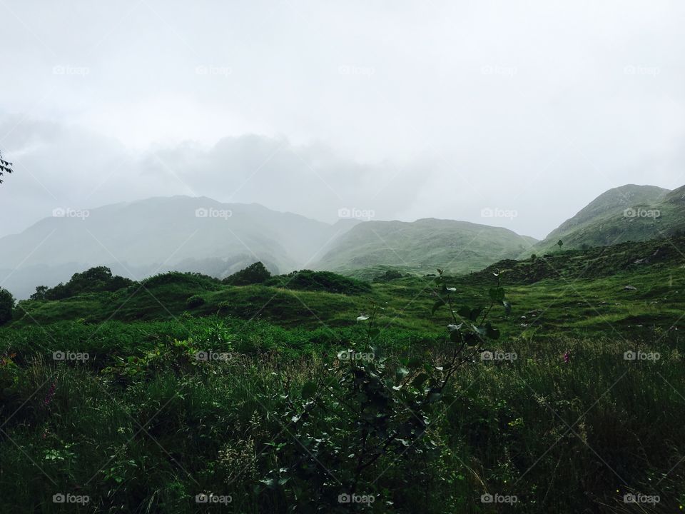 Landscape, Mountain, Fog, Nature, Hill