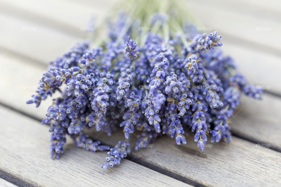 Fresh lavender bouquet, closeup