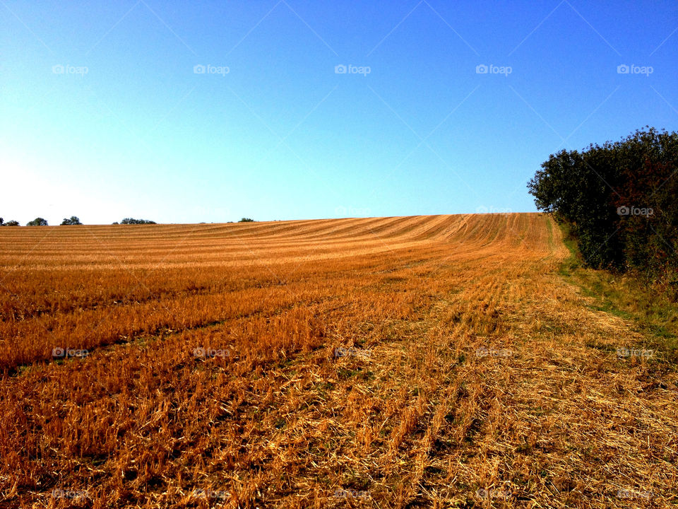 sky field ground blue by dannytwotaps