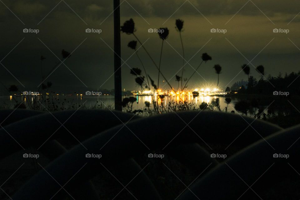 Silhouette of beach plants framed by a circular bike rack. Marina lights across the bay provide a beautiful backdrop. 