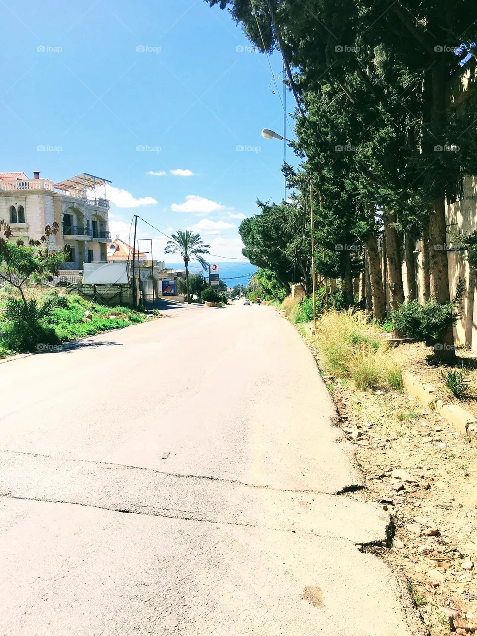 Hala