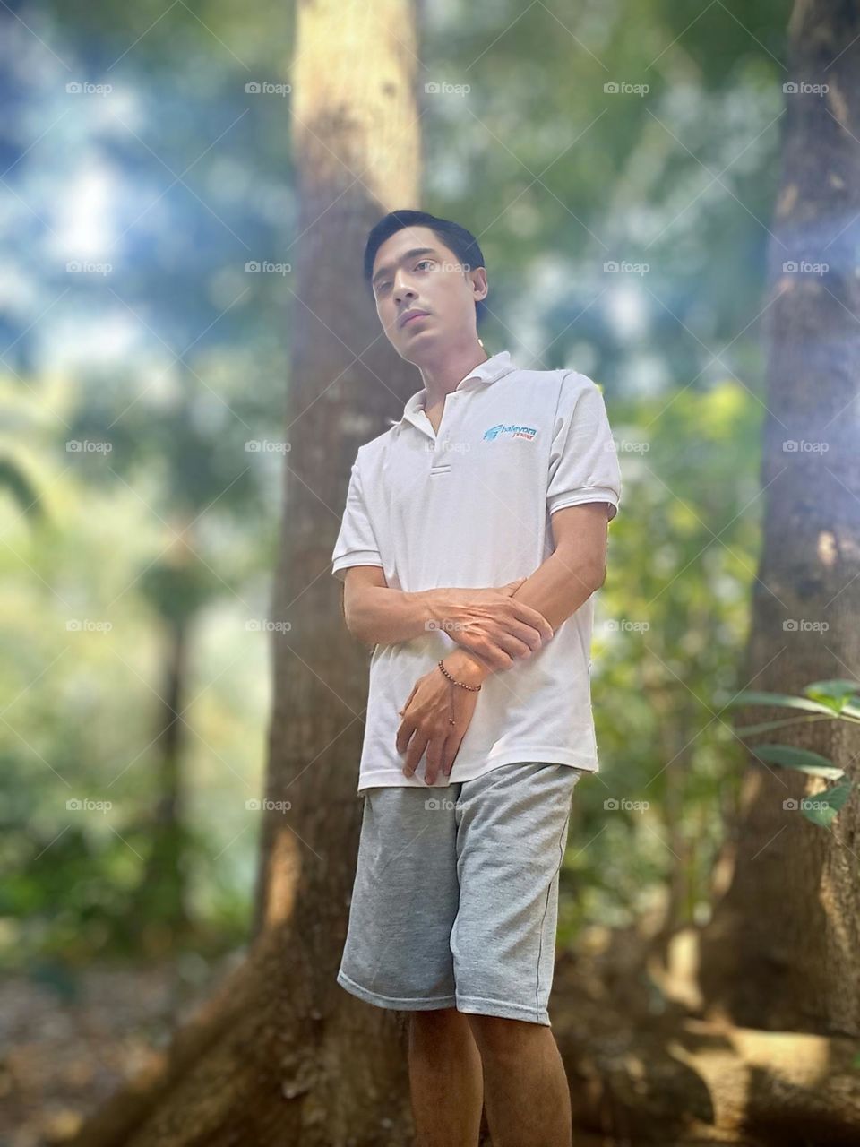 Background with natural trees