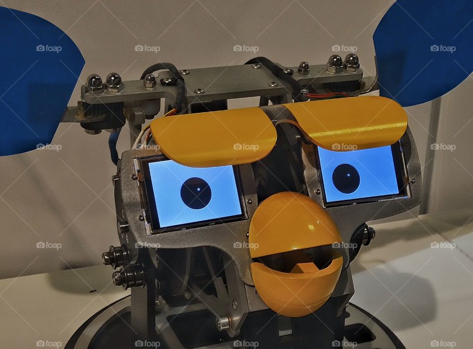 Robotic Face. Robot With Facial Expression Technology
