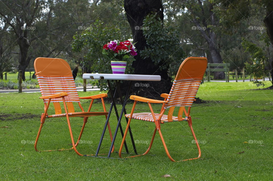 Outdoors setting in a national park enjoying summer