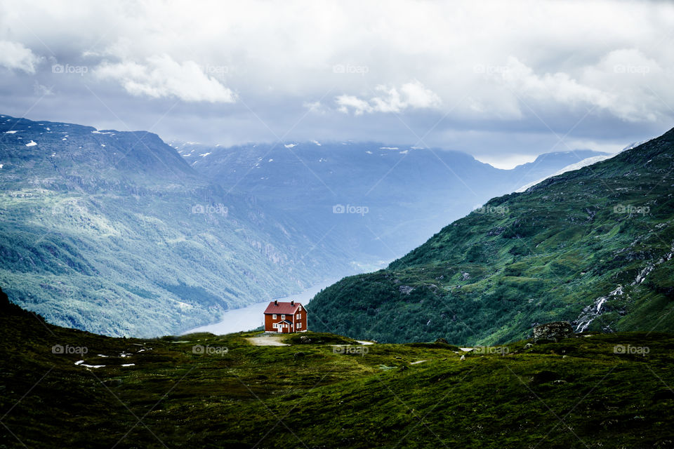 Lonely House